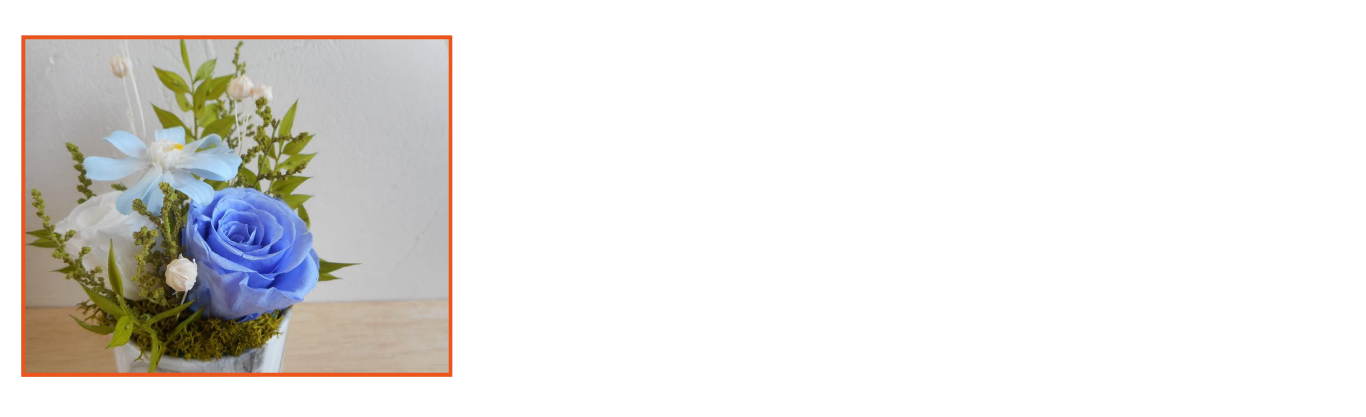 めぐさんWS6:1けんくら.png