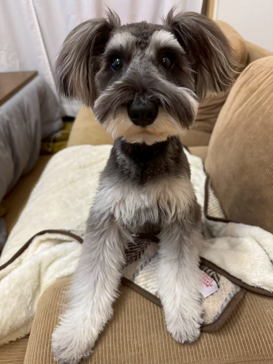 LINE_ALBUM_ポアロ