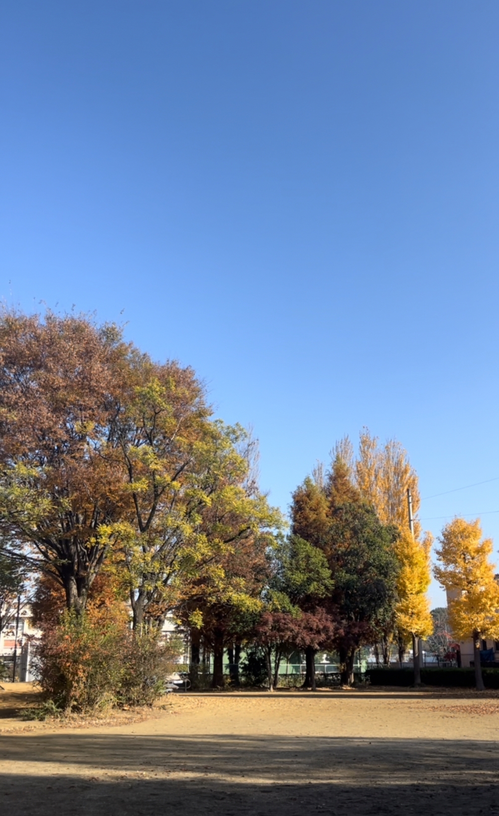 IMG_7176.jpg