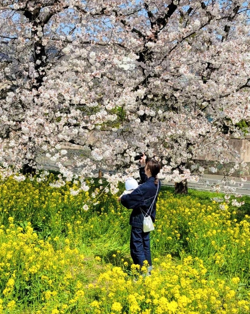 桜2人.jpg