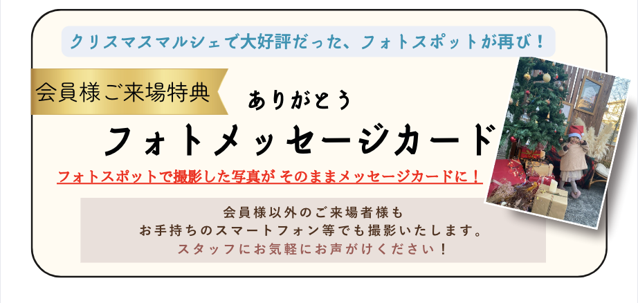 スクリーンショット 2025-05-01 9.54.58.png