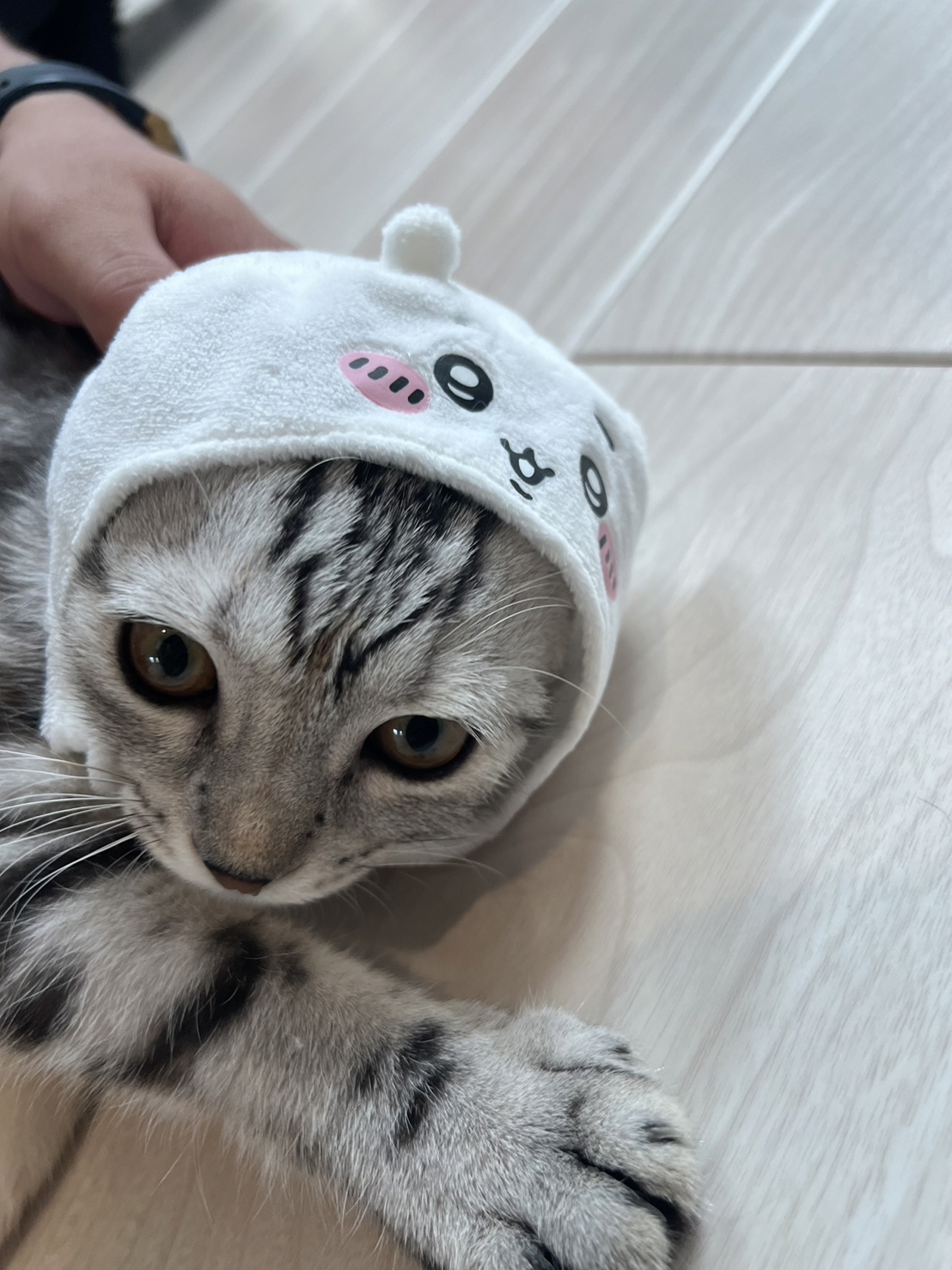 なると1.jpg