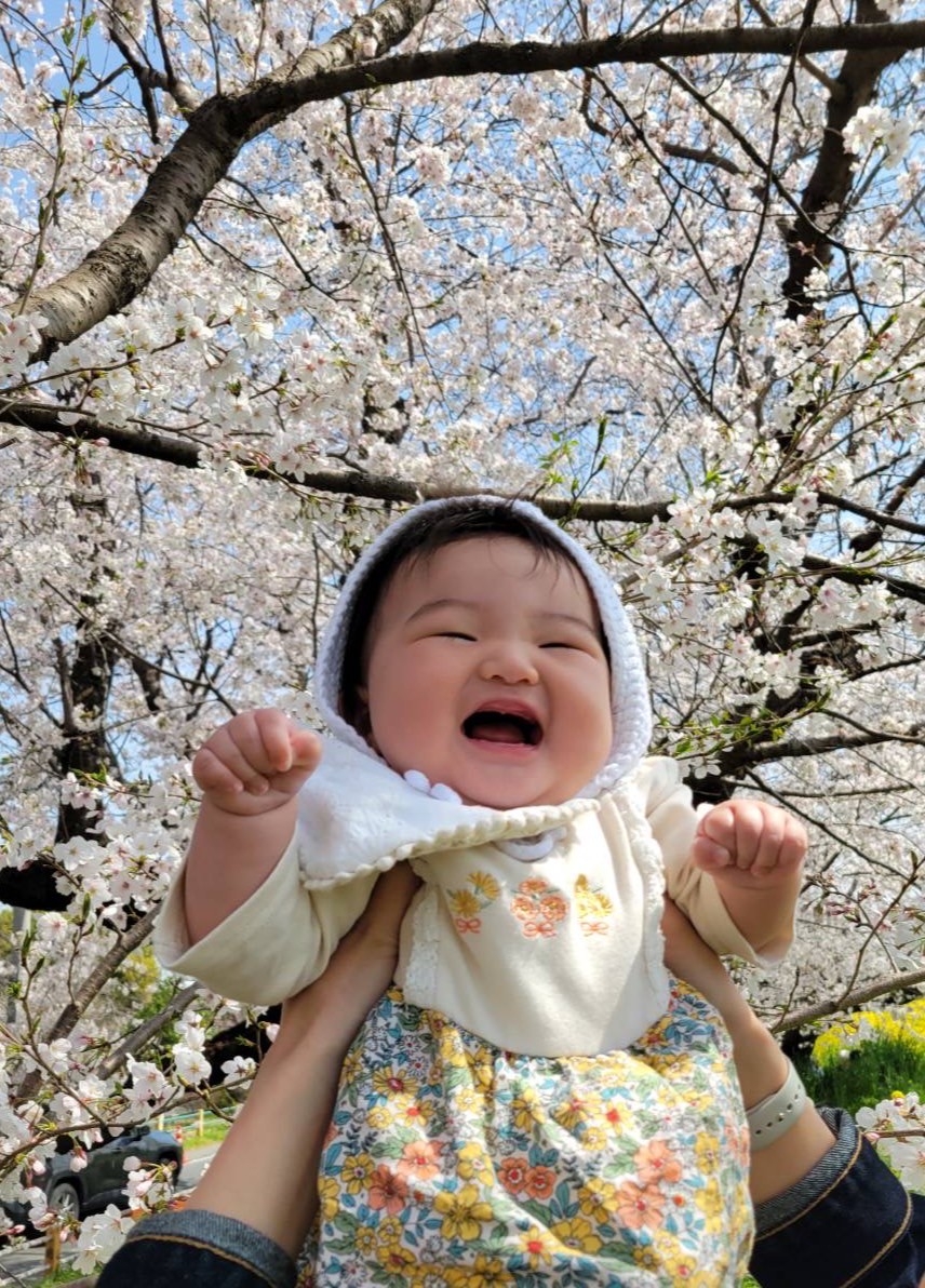 桜い.jpg