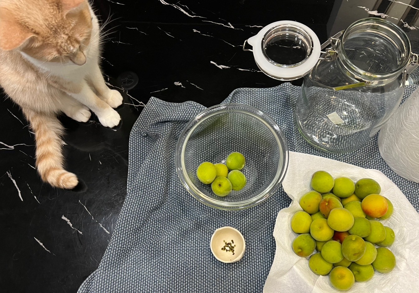 暮らしに季節を｜はじめての梅しごと アイチャッチ