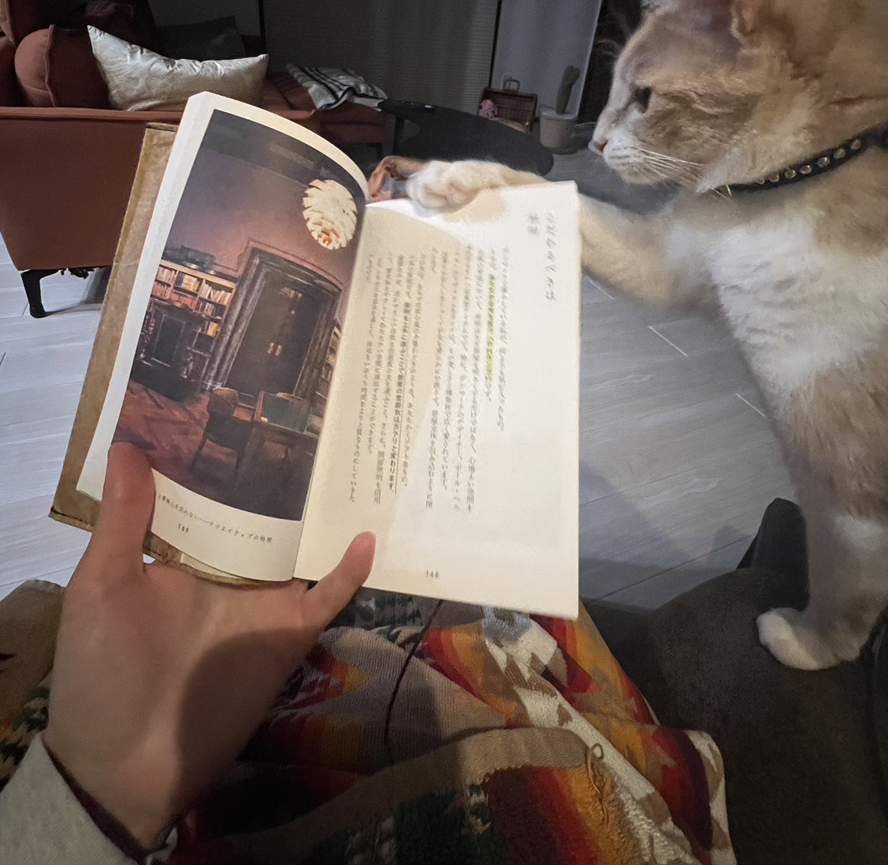 北欧の魅力 アイチャッチ