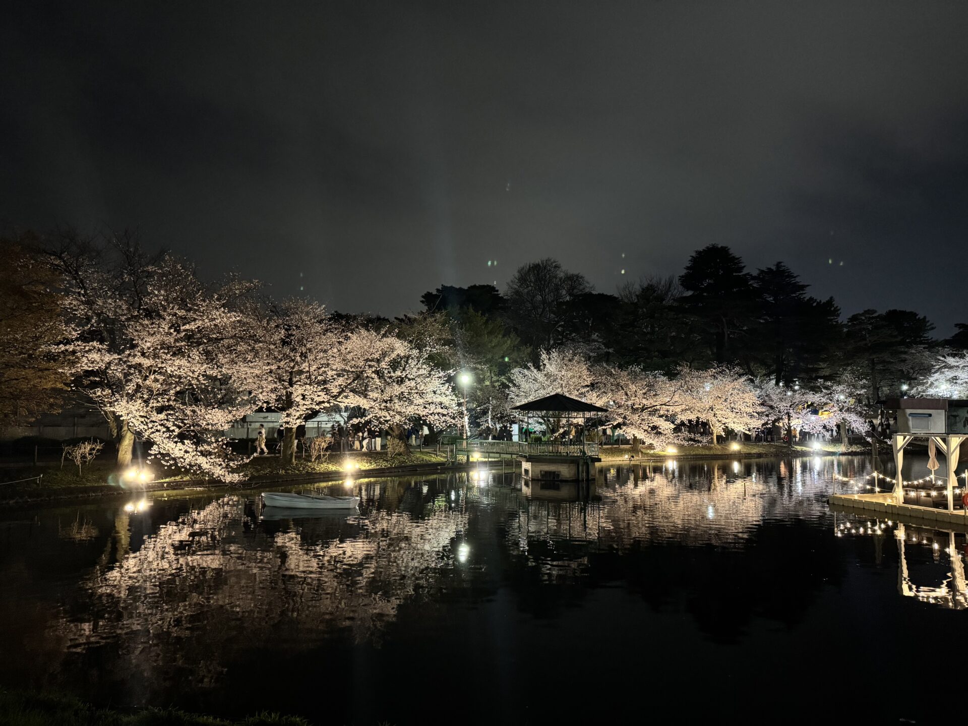 ゆっきーの休日ブログ|桜が綺麗な季節 アイチャッチ