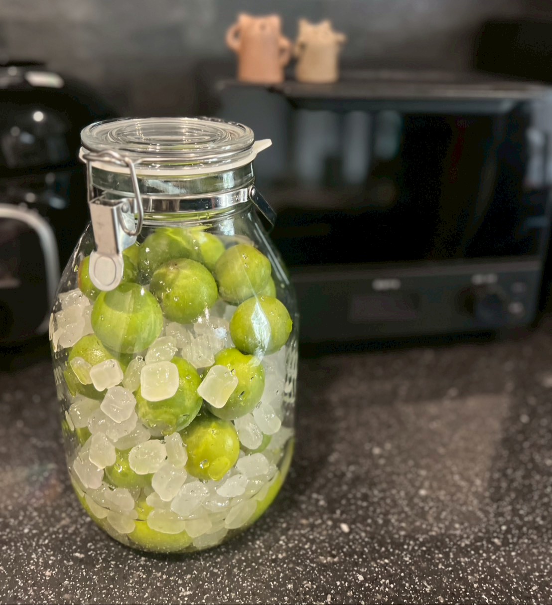 今年も梅シロップを作りました │みっちゃんの日常 アイチャッチ